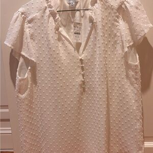 J. Crew Factory White Swiss Dot Blouse